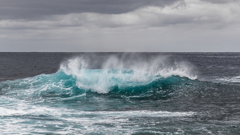 Protection des océans : des élus locaux de l'UE demandent une politique européenne 
