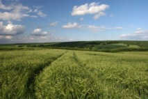 2012, année charnière pour l’agriculture biologique en France
