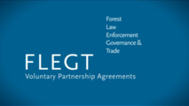 UE et Indonésie contre le trafic illégal de bois