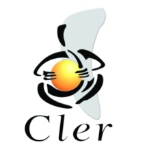 Les propositions du CLER pour le soutien à l’électricité renouvelable