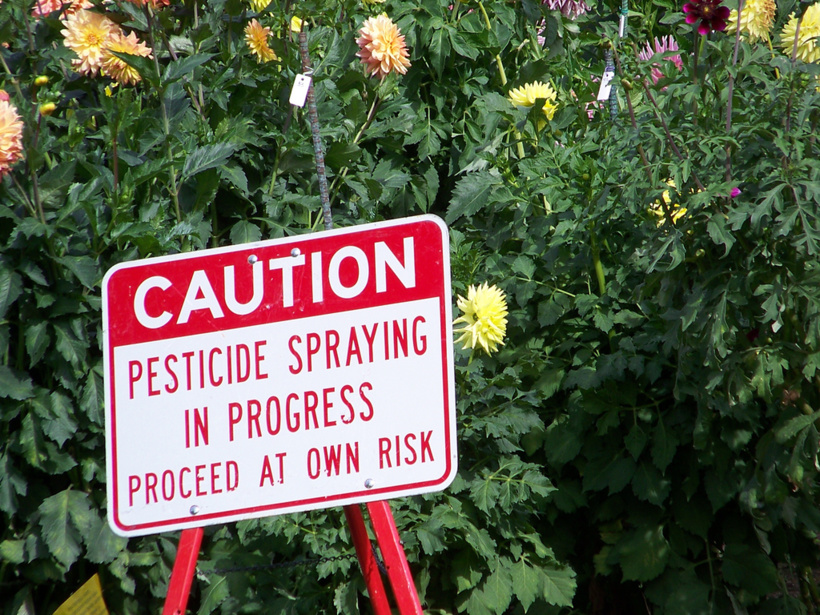 Pesticides en ville, la guerre est ouverte