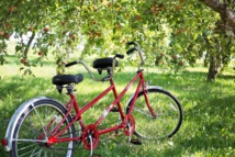 Les avantages RSE du vélo en entreprise