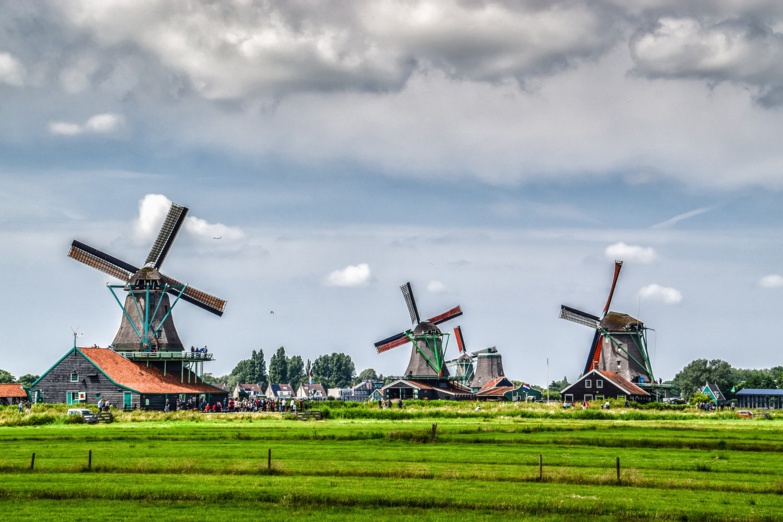 L’agriculture néerlandaise en pleine crise