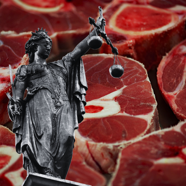 Scandale et fraude : ouverture du procès sur la viande de cheval