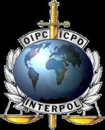 ​Interpol lance un appel mondial contre des criminels environnementaux
