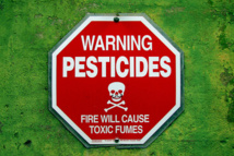 Pesticides dans les aliments, pas de risques alimentaires