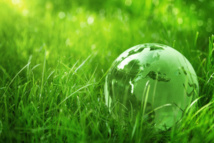 Consommation verte: du nouveau en 2015