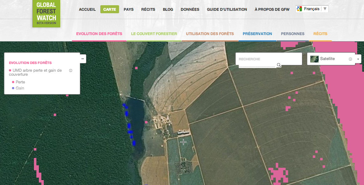 Le premier observatoire mondial des forêts lance une carte interactive