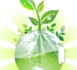 https://www.rse-magazine.com/Un-programme-pour-accelerer-la-transformation-environnementale-et-sociale-des-TPE_a5250.html