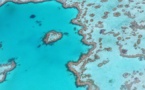 Australie : La grande barrière de corail en danger