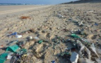 La Surfrider Foundation invite le plus grand nombre à ramasser les déchets des plages