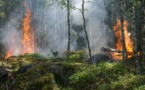 Incendies d'été : l'Office National des Forêts sur tous les fronts