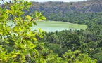 Une nouvelle réserve naturelle des forêts publiques de Mayotte