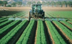 ​Glyphosate : il faut d'abord une vraie alternative pour convaincre les agriculteurs