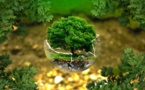 Démission Hulot : le gouvernement défend « le meilleur bilan écologique » depuis des années