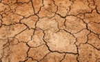 Agriculture : l’UE prête à assouplir les règles pour faire face à la sécheresse