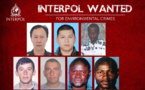 Interpol lance sa première traque de fugitifs pour crimes environnementaux