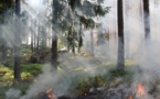 Amazonie : les incendies dus à la déforestation 