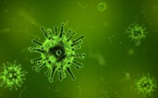 Covid-19 : une étude rassure sur l’immunité après infection