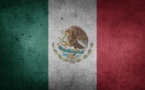 Le Mexique interdit les maïs OGM et le glyphosate