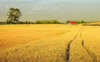 Réchauffement climatique : les agriculteurs en première ligne