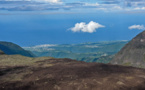 Ce que l’île de La Réunion fait pour la biodiversité