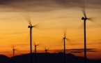 L’impact environnemental et les vertus écologiques de l’éolien en question