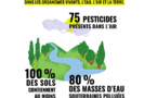 ​Biodiversités : Deux associations attaquent l’État pour « manquement » dans la lutte contre les pesticides