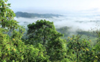 En 2020 et 2021, l’inquiétante déforestation de l’Amazonie brésilienne