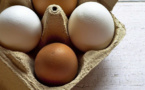 Des œufs « plein air » issus d’élevages confinés