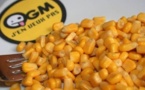 L'UE laissera-t-elle la France interdire les OGM ?