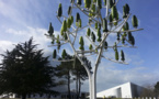 L’arbre à vent pourrait révolutionner le secteur de l’énergie