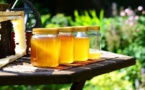 Faux miels importés, la Commission européenne tire la sonnette d’alarme