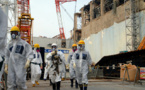 Fukushima, le Japon décide de brûler les matériaux et végétaux contaminés