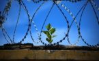 ​Aucune prison n’est dans les clous, estime le rapport 2022 de la Contrôleuse générale