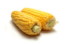 OGM: le débat sera t-il relancé en 2015?