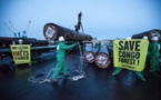 Importation illégale de bois, action choc de Greenpeace devant le ministère de l’Environnement