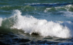 ​Pour FNE, les grandes marées « rappellent notre vulnérabilité »