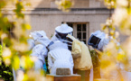 Pour que Paris soit candidate au label « bee-friendly »