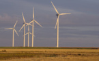 EELV et le NPA veulent 100% de renouvelable d’ici 2050