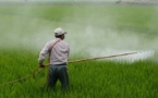 Des associations demandent une interdiction réelle des pesticides