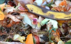Environnement : les bienfaits du compostage partagé