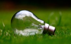 Transition énergétique : des ampoules LED distribuées par EDF