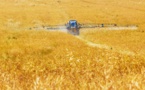 Nouveau retrait de pesticide en France