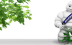 Michelin s’engage dans une politique d’approvisionnement « zéro déforestation »