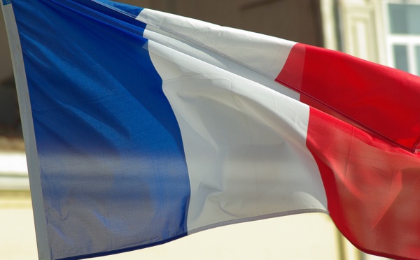 Développement durable, les entreprises françaises se distinguent dans plusieurs domaines
