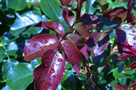 Entreprises : Baisse des dépenses pour l'environnement en 2014