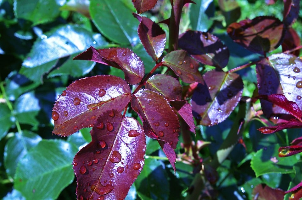 Entreprises : Baisse des dépenses pour l'environnement en 2014