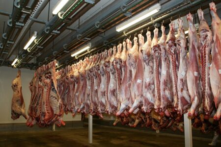 Abattoirs, des mesures ambitieuses pour lutter contre les maltraitances animales