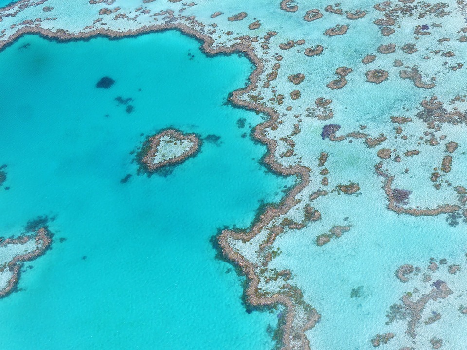 Australie : La grande barrière de corail en danger